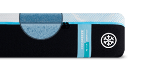 ProBreeze®